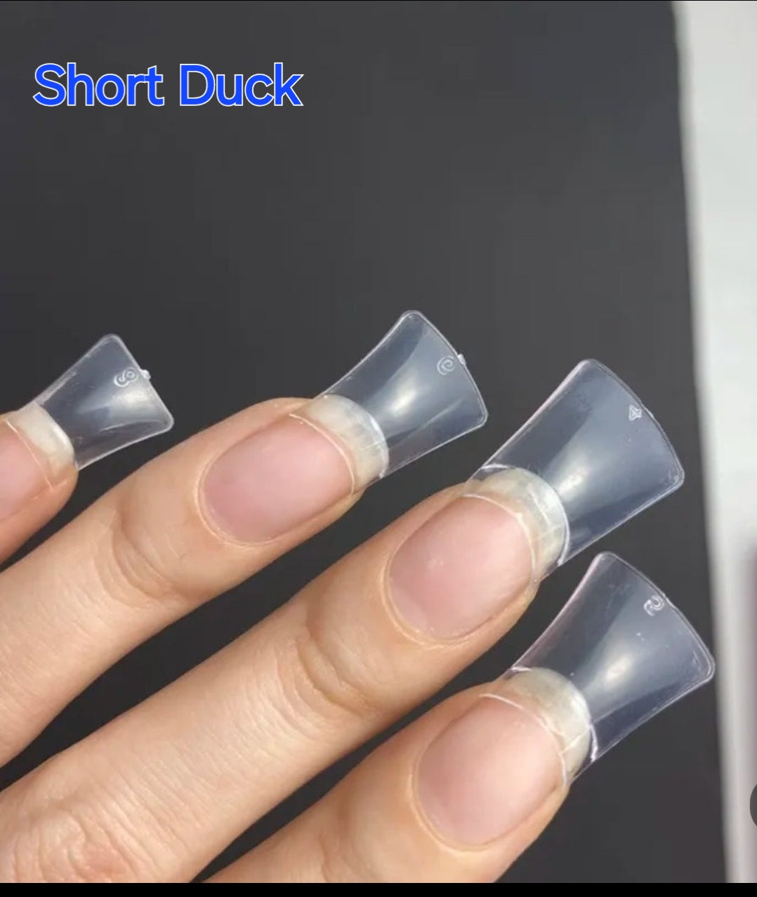 Ruby Nail Tip Boxes Pink, Clear, C Curve, No C, Square Coffin Stiletto Almond