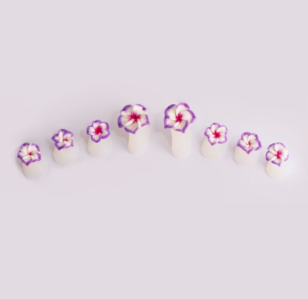 Silicone Toe Separators in Bag