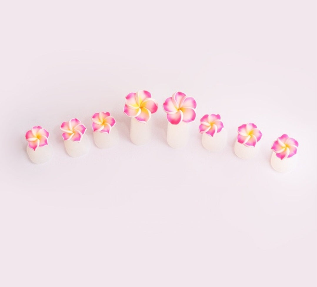 Silicone Toe Separators in Bag